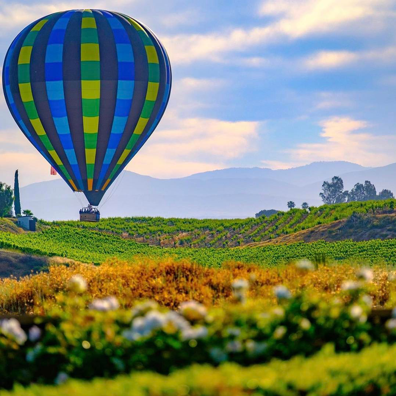 Hot air balloon in Temecula, CA.